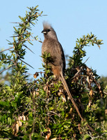 On Watch