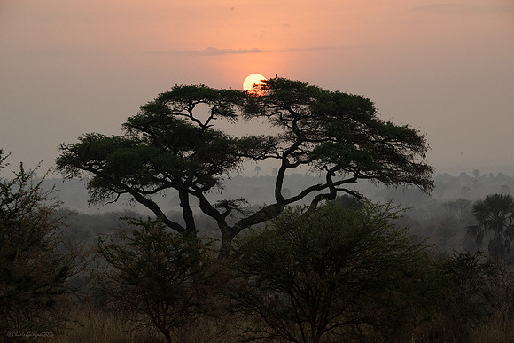 Murchison Sunrise