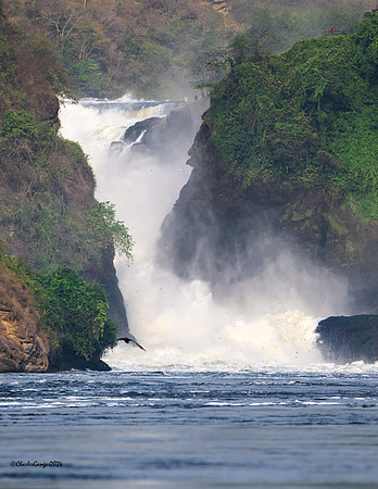 Murchison Falls